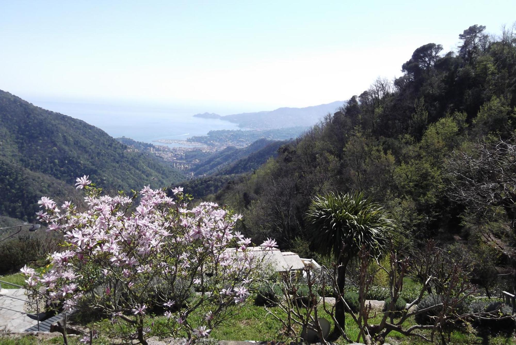 Vista Portofino Apartment Рапало Екстериор снимка