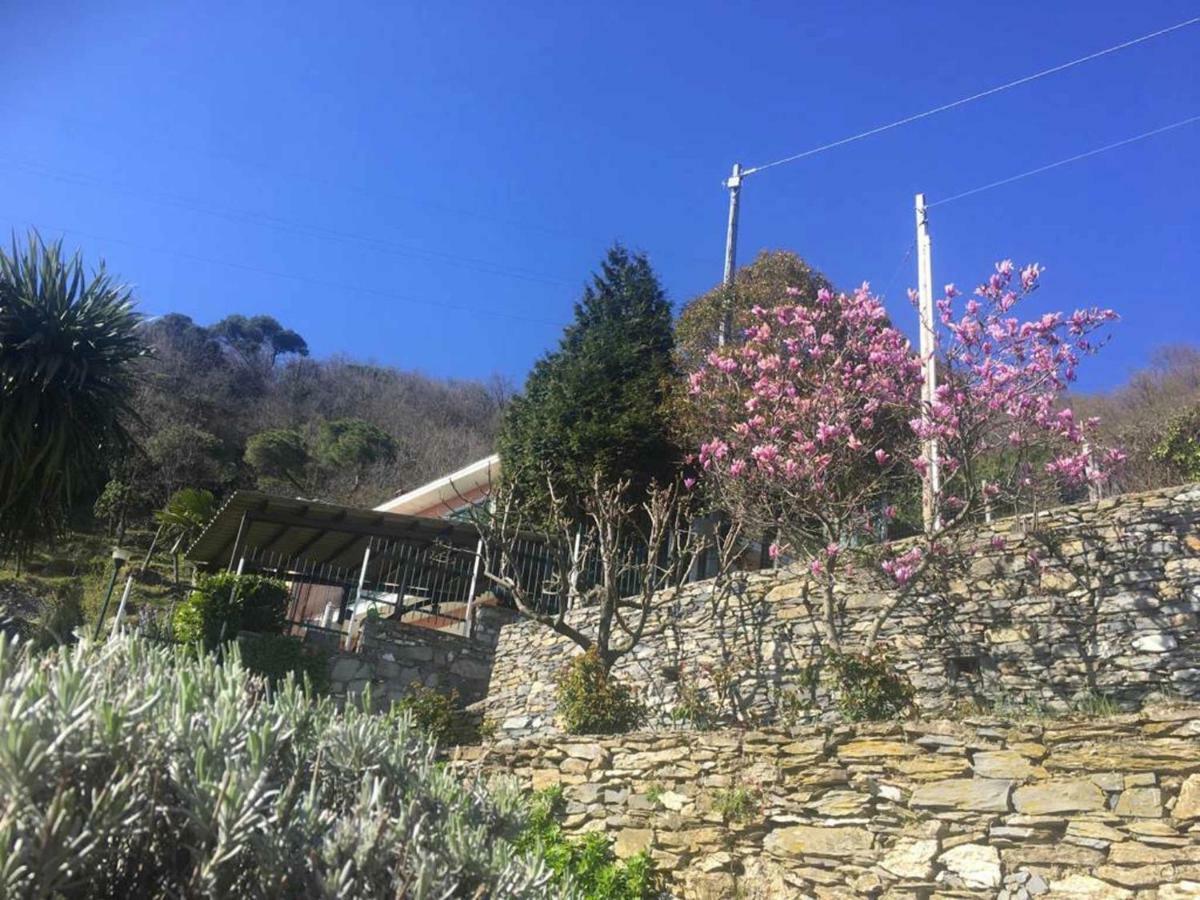 Vista Portofino Apartment Рапало Екстериор снимка